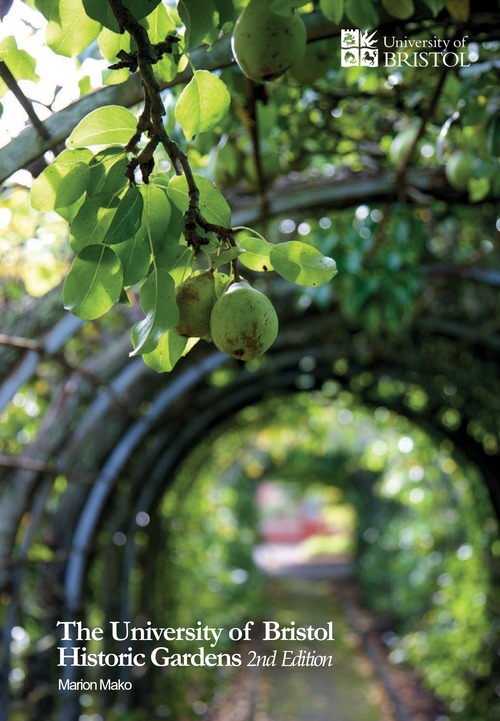 A photo looking down the pear arch, with pears in the foreground and a metal cage walkway